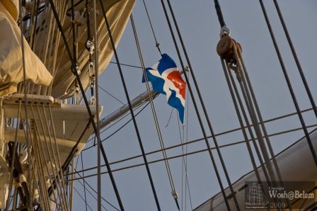 Dans le bassin Vauban, fév. 2010 Dans le bassin Vauban